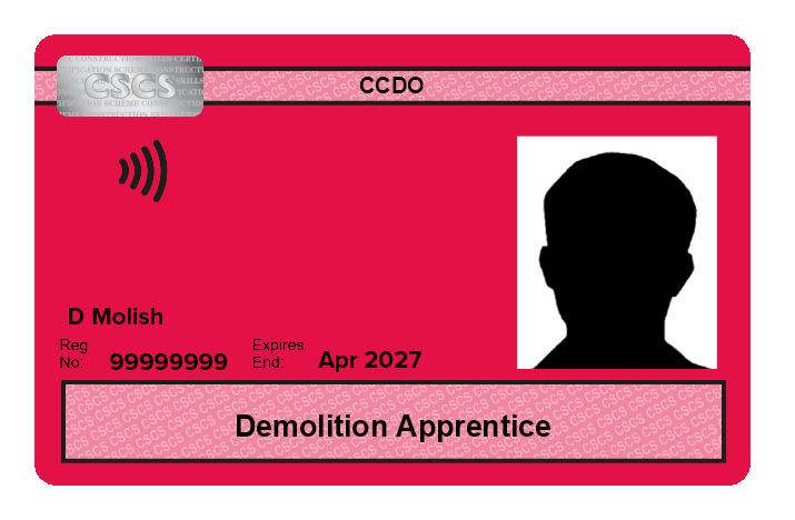 CCDO Demolition Apprentice (SAP)